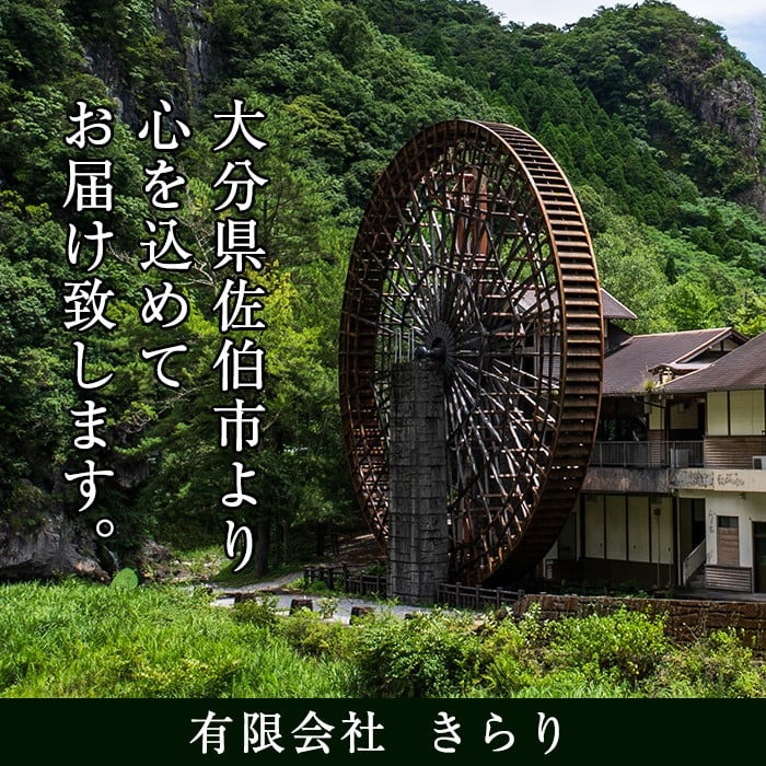 釜炒り 因尾茶 ティーバッグ (計6個・3個入×2袋) お茶 緑茶 茶 ティーバッグ 釜炒り 特産品 お取り寄せ 個装 大分県 佐伯市【AH65】【きらり】