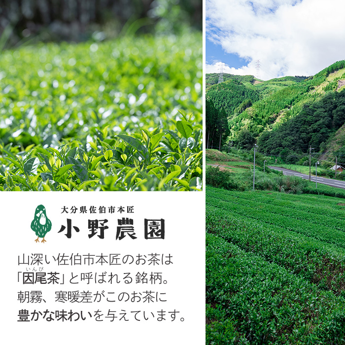 釜炒り茶 因尾茶 ティーバッグ (計220g・44g×5袋) お茶 緑茶 茶 茶葉 釜炒り茶 日本茶 大分県産 大分県 佐伯市【ES06】【小野農園】