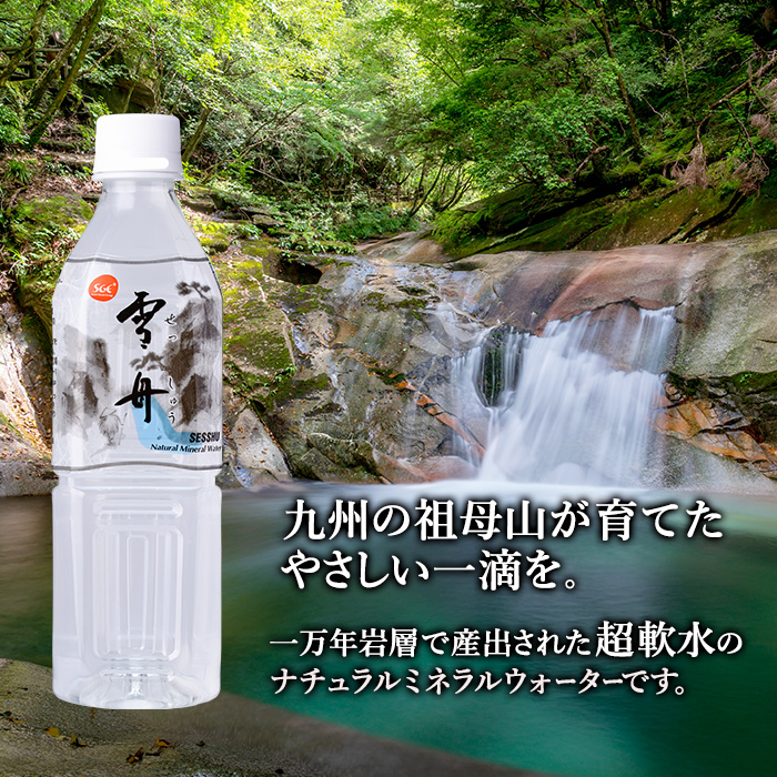 ＜定期便・全12回(毎月)＞ナチュラル ミネラル ウォーター 雪舟 (総量288本・500ml×24本×12回) 定期便 国産 鉱泉水 お水 ドリンク 大自然 天然 料理 健康 維持 防災 常温 保存 12回【HD251】【さいき本舗 城下堂】
