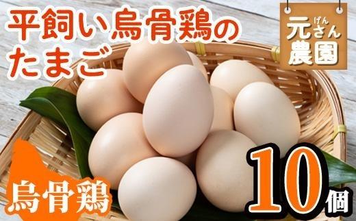 平飼い烏骨鶏のたまご (計10個) 元さん農園 卵 玉子 卵かけご飯 玉子焼き 平飼い 鶏 鶏卵 養鶏場直送 朝採れ 新鮮 大分県 佐伯市 【GE003】【 (株)海九】