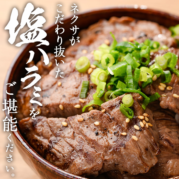 ãã©ã€ã ç å¡©ãã©ã(èš600g) å°åã çè è ãã©ã çã¯ãã¿ å³ä»ã çŒè å¡© BBQ å·å 倧åç äœäŒ¯åžãDH296ãã(æ ª)ãã¯ãµã