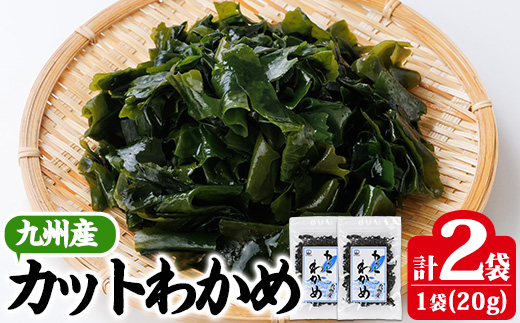 九州産 カットわかめ (計2袋・1袋20g入) 海藻 わかめ 味噌汁 みそ汁 サラダ 酢の物 スープ 国産 九州産 常温 大分県 佐伯市【CW32】【山忠】