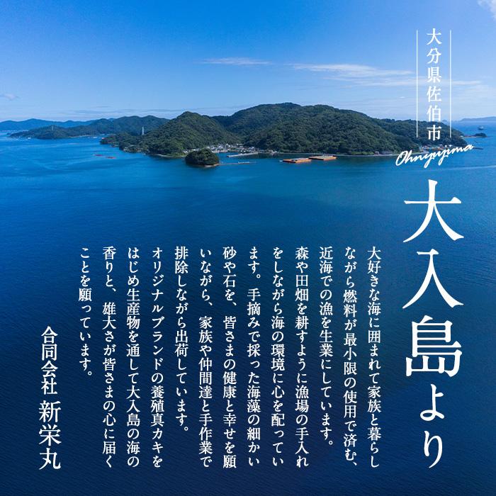 大入島 バージン オイスター 牡蠣 約1kg (1個約50g前後・20個入) 生食可 冷凍 真牡蠣 かき 貝 かい 酒蒸し 焼き牡蠣 パスタ 国産 一口サイズ ご当地 お取り寄せ グルメ 大分県 佐伯市【ED06】【(合)新栄丸】