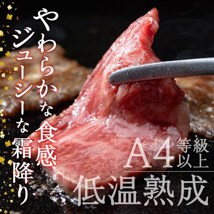 おおいた和牛 カルビ 焼肉 (300g) 国産 牛肉 肉 霜降り 低温熟成 A4 和牛 ブランド牛 BBQ 冷凍 大分県 佐伯市【DH218】【(株)ネクサ】