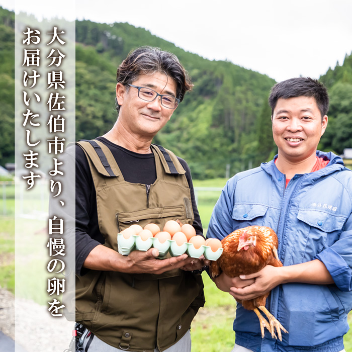 元さん農園 平飼い赤鶏のたまご (計20個・10個×2P) 元さん農園 卵 玉子 卵かけご飯 玉子焼き 平飼い 鶏 鶏卵 養鶏場直送 朝採れ 新鮮 大分県 佐伯市 【GE001】【 (株)海九】