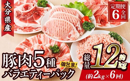 ＜定期便・全6回 (毎月)＞ 豚肉 バラエティーパック (2kg×6回・総量12kg) 豚バラ しゃぶしゃぶ 鍋 とんかつ ロース 小分け 個包装 豚こま 小間切れ スライス ミンチ 5種 セット 詰め合わせ 冷凍 食べ比べ 国産 大分県 佐伯市【BD322】【西日本畜産】