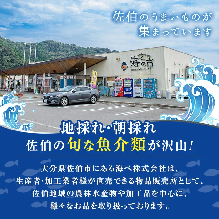 天然 トコブシ (約900g) 鮮魚 魚介 貝 トコブシ とこぶし 酒蒸し 網焼き バター焼き バーベキュー 獲れたて 冷蔵 海の直売所 大分県 佐伯市【AS82】【海べ】