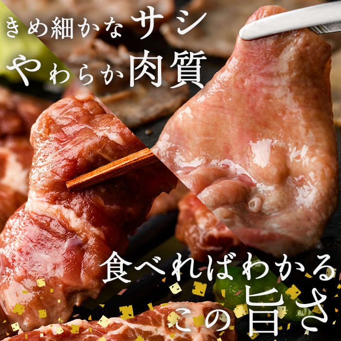 ＜定期便・全3回 (4か月ごとの発送)＞たっぷり！ 薄切り 塩 牛タン・牛ハラミ セット (総量3.6kg) 小分け 牛肉 肉 タン たん ハラミ はらみ 詰め合わせ 味付け 焼肉 BBQ 冷凍 大分県 佐伯市【DH330】【ネクサ】