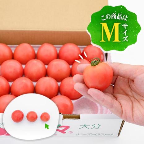 フルーツトマト 朱朱 Mサイズ (計1kg・16-18玉) M 高糖度 糖度 フルーツトマト トマト 野菜 サラダ 大分県 佐伯市 九州産 国産 大分県 佐伯市【CH63】【(株)サニープレイス】