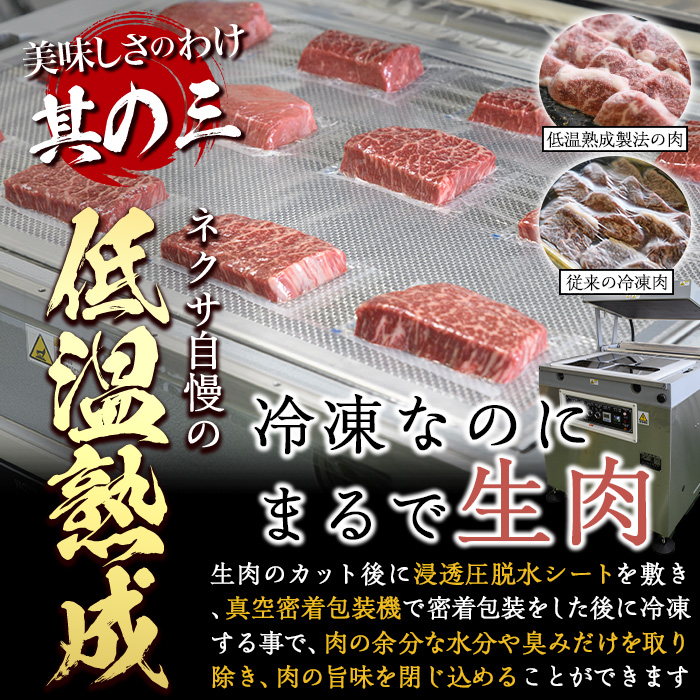プライム牛 塩ハラミ(計200g) 小分け 牛肉 肉 ハラミ 牛はらみ 味付け 焼肉 塩 BBQ 冷凍 大分県 佐伯市【DH294】【(株)ネクサ】