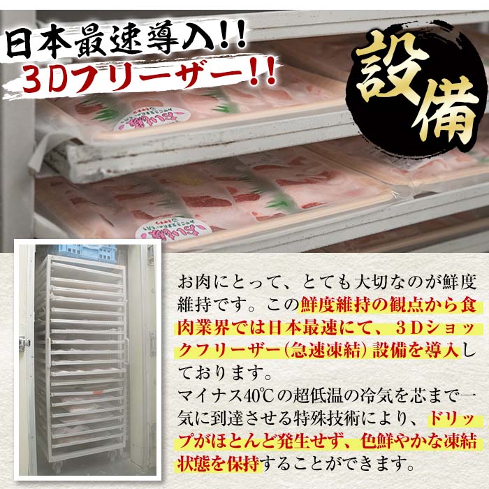 おおいた 和牛 3種 セット (合計1.66kg・サーロインステーキ180g×2枚・ウデ肉700g・焼肉300g×2P) 国産 豊後牛 BBQ 赤身 バーベキュー 惣菜 やきにく おかず 百年の恵み 【BD186】【西日本畜産 (株)】