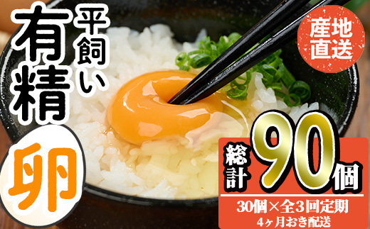 ＜定期便・全3回＞産直・平飼い有精卵 (総計90個・30個×3回(4ヶ月おき発送)) 卵 玉子 卵かけご飯 玉子焼き 平飼い 鶏 鶏卵 養鶏場直送 朝採れ 新鮮 大分県 佐伯市 【HM03】【佐伯養鶏場】