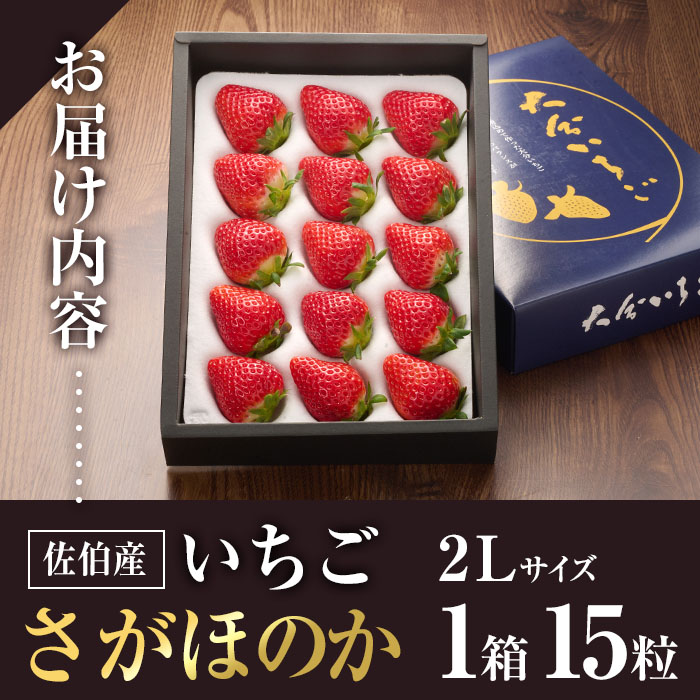 ＜先行予約受付中！2025年1月より順次発送予定＞＜数量限定＞ 佐伯産 いちご さがほのか (2Lサイズ計15粒・1箱) 大分県産 イチゴ 苺 果物 フルーツ デザート スイーツ 甘い 大分県 佐伯市【BS64】【大分県農業協同組合 南部エリア (佐伯)】