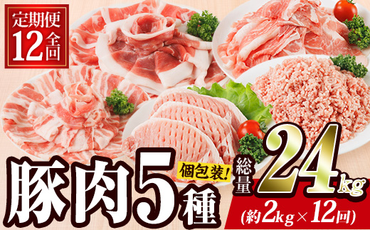 ＜定期便・全12回 (毎月)＞ 豚肉 バラエティーパック (2kg×12回・総量24kg) 豚バラ しゃぶしゃぶ 鍋 とんかつ ロース 小分け 個包装 豚こま 小間切れ スライス ミンチ 5種 セット 詰め合わせ 冷凍 食べ比べ 国産 大分県 佐伯市【BD323】【西日本畜産】