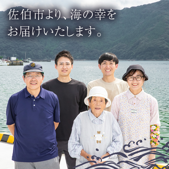 ＜訳あり・業務用＞あじの生みりん干し (計約2kg・約40尾) 干物 ひもの 鯵 アジ お酒のおつまみ 大分県 佐伯市 【GH003】【増野善雄商店】