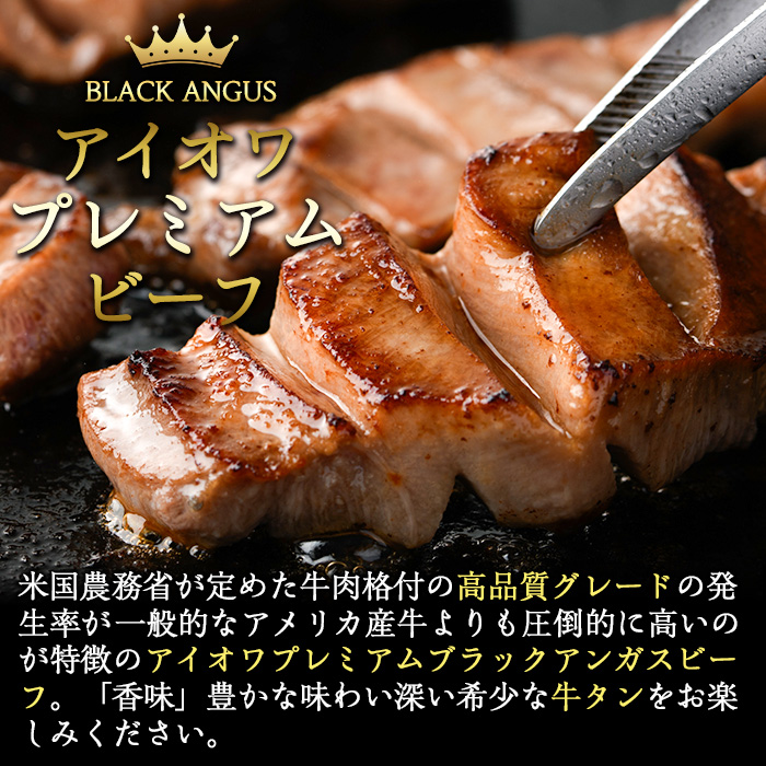 ＜訳あり＞厳選焼肉お試しセット (合計410g・5種) おおいた和牛 アイオワプレミアム 牛タン 米の恵み 豚バラ 焼肉 牛肉 肉 豚肉 赤身 カルビ 希少部位 低温熟成 和牛 ブランド牛 BBQ 冷凍 大分県 佐伯市【DH263】【(株)ネクサ】