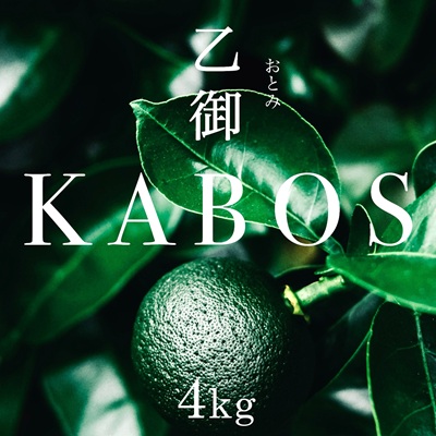 【乙御KABOS】４㎏