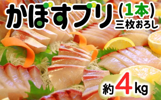 【先行予約】うすき産かぼすブリ・1本（約4kg弱）