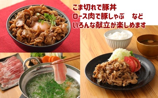 大分県産 豚詰合せ５種類（約2kg）＆ビッグハンバーグ（5個）＆ミンチカツ（10個）セット〔合計約3.9kg〕