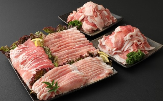 大分県産 豚詰合せ５種類（約2kg）＆ビッグハンバーグ（5個）＆ミンチカツ（10個）セット〔合計約3.9kg〕