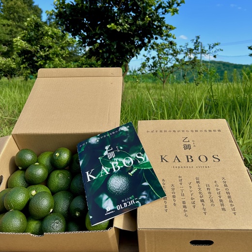 ããŒãçºç¥¥ã®å°èŒæµåžä¹èŠã»ãã©ã³ãããŒããä¹åŸ¡KABOSãïŒããã«ãã¹ éæ ææ©