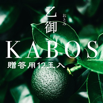 雍育ュ皮畑鬮倡エ壹蝉ケ吝セ。KABOS縲12邇峨縺九⊂縺咏匱逾・縺ョ蝨ー閾シ譚オ蟶ゆケ呵ヲ九サ繝悶Λ繝ウ繝峨°縺シ縺
