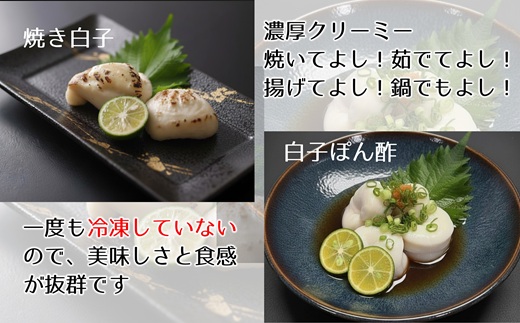 とらふぐ白子（約200g）