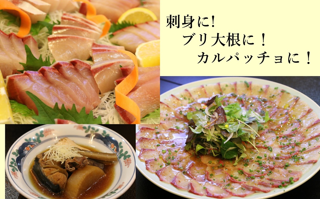 うすき産潮風ぶり・1本・三枚卸（約3kg弱）[冷蔵] ブリ 鰤 ブリカマ 豊後水道 臼杵 着日指定