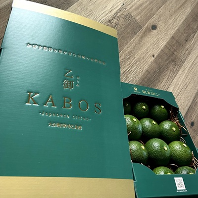 雍育ュ皮畑鬮倡エ壹蝉ケ吝セ。KABOS縲12邇峨縺九⊂縺咏匱逾・縺ョ蝨ー閾シ譚オ蟶ゆケ呵ヲ九サ繝悶Λ繝ウ繝峨°縺シ縺