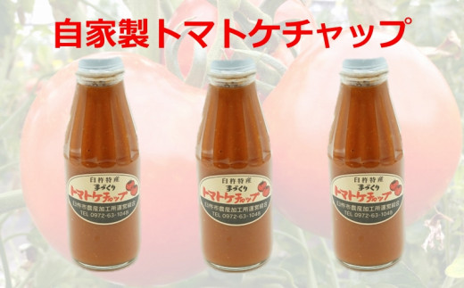 【四季菜彩】完熟トマトケチャップ（3本）