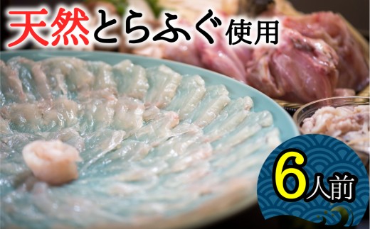 圧巻の豊後水道天然とらふぐ！天然とらふぐ刺しふぐ鍋セット（6人前）［冷蔵］［天然とらふぐ1kg超え活魚使用］割烹みつご