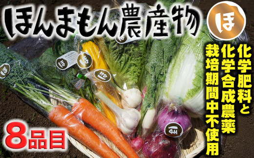 化学合成農薬等不使用で栽培!安心安全な「ほんまもん野菜」を8品目お届け♪