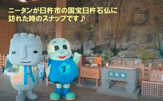 螟ァ蛻繝医Μ繝九シ繧ソ 蜈ャ蠑上槭せ繧ウ繝繝医〓縺縺舌k縺ソ繝九シ繧ソ繝ウシ20cmシ1菴