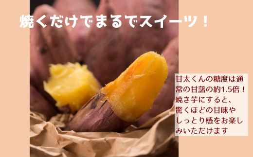 ãå
è¡äºçŽã倧åçãèªãé«ç³åºŠãã€ãŸãããç倪ããã5kg