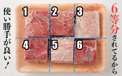 ããããè±åŸçã黿¯åçããŸåãïŒçŽ1kgïŒ åãèœãšã 倧å çè å°éåã åç åœç£ èåã 䜿ãããã