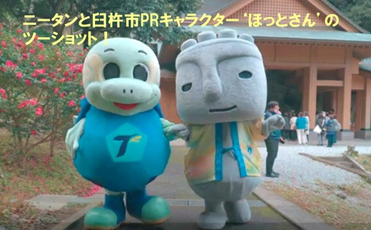 螟ァ蛻繝医Μ繝九シ繧ソ 蜈ャ蠑上槭せ繧ウ繝繝医〓縺縺舌k縺ソ繝九シ繧ソ繝ウシ20cmシ1菴