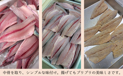 身がぷりぷり♪臼杵産サバフライ(2パック)　冷凍　骨取り鯖