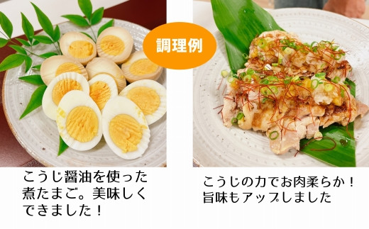 繧ォ繝句魂縲繧、繧ュ繧、繧ュ逕溘%縺縺假シ1緕擾シ