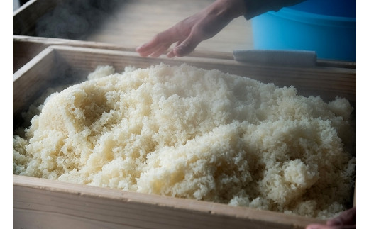 繧ォ繝句魂縲繧、繧ュ繧、繧ュ逕溘%縺縺假シ1緕擾シ