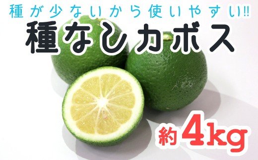 種が少ないから使いやすい！佐々木さんの「種無し（小種）かぼす」約4kg