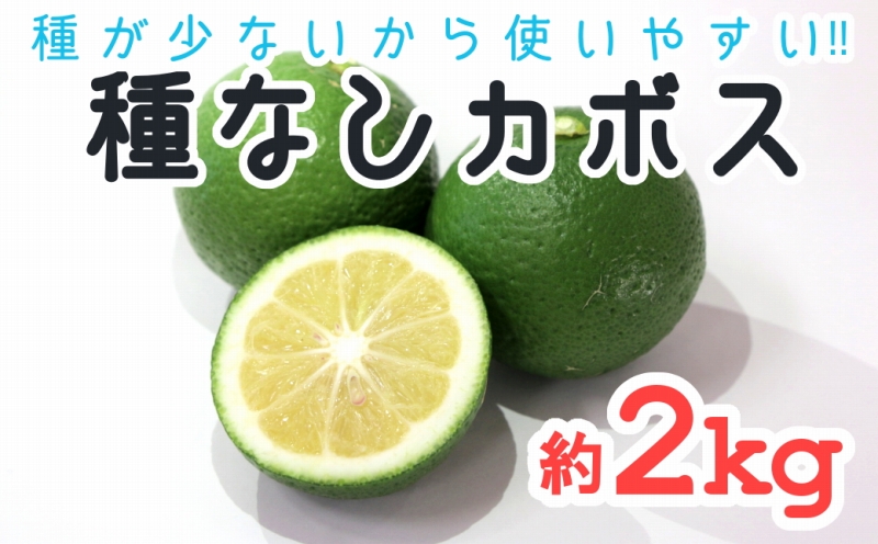種が少ないから使いやすい！佐々木さんの「種無し（小種）かぼす」約2kg