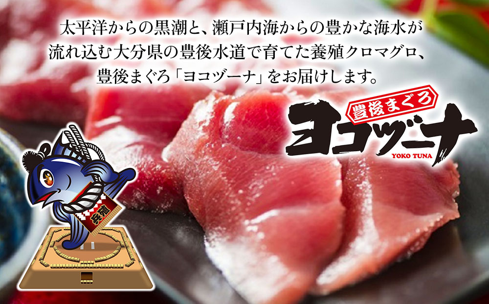 豊後まぐろ ヨコヅーナ 訳あり 端材 1kg 鮪 マグロ かま 海鮮丼 希少部位 カマトロ 刺し身 BBQ 塩焼き 煮つけ 冷凍 漬け丼 大分県産 九州産 津久見市 国産