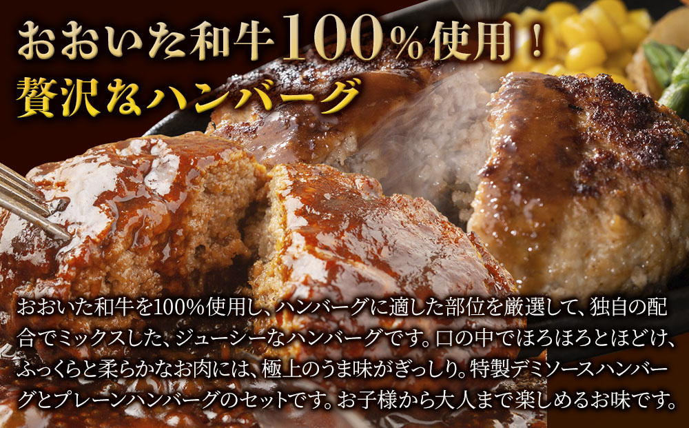 おおいた和牛100% デミ＆プレーンハンバーグ 24個 合計約2.5kg 牛肉 豊後牛 ハンバーグ おかず お弁当 小分け レンジ 時短料理 惣菜 冷凍 大分県産 九州産 津久見市 国産