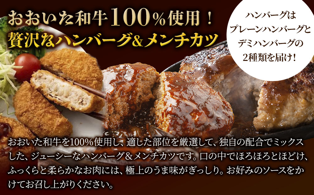 おおいた和牛100% ハンバーグ＆メンチカツセット 合計約2.8kg 牛肉 豊後牛 ハンバーグ 揚げ物 おかず お弁当 小分け 時短料理 レンジ 惣菜 冷凍 大分県産 九州産 津久見市 国産