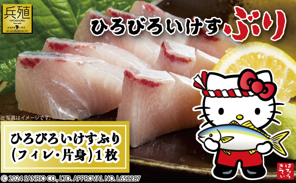 【先行予約】ひろびろいけすぶり(フィレ・片身)1枚 ※12月発送 ぶり 鰤 刺し身 刺身 鰤 大分県産 九州産 津久見市 国産【tsu001113】