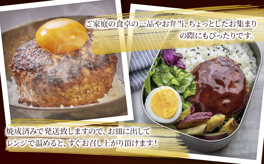 おおいた和牛100% デミ＆プレーンハンバーグ 24個 合計約2.5kg 牛肉 豊後牛 ハンバーグ おかず お弁当 小分け レンジ 時短料理 惣菜 冷凍 大分県産 九州産 津久見市 国産