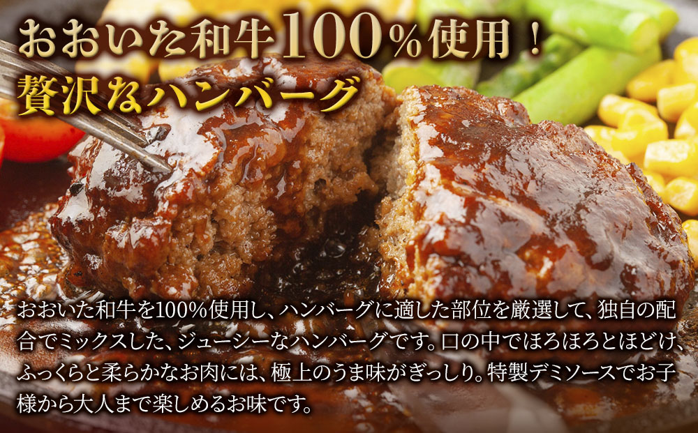 おおいた和牛100% デミハンバーグ 約150g×20個 合計約3kg 牛肉 豊後牛 ハンバーグ おかず お弁当 小分け レンジ 時短料理 惣菜 冷凍 大分県産 九州産 津久見市 国産