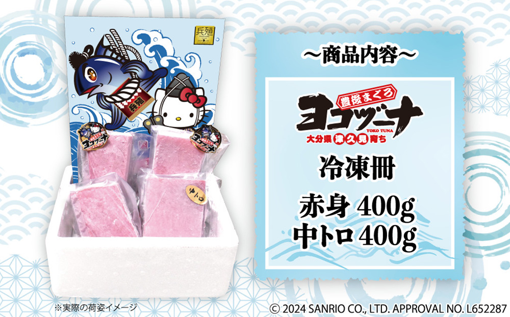 豊後まぐろ ヨコヅーナ  赤身400ｇ 中トロ400g 鮪 マグロ 海鮮丼 刺し身 盛り合わせ 冷凍 魚の刺身 大分県産 九州産 津久見市 熨斗対応【tsu0003010】