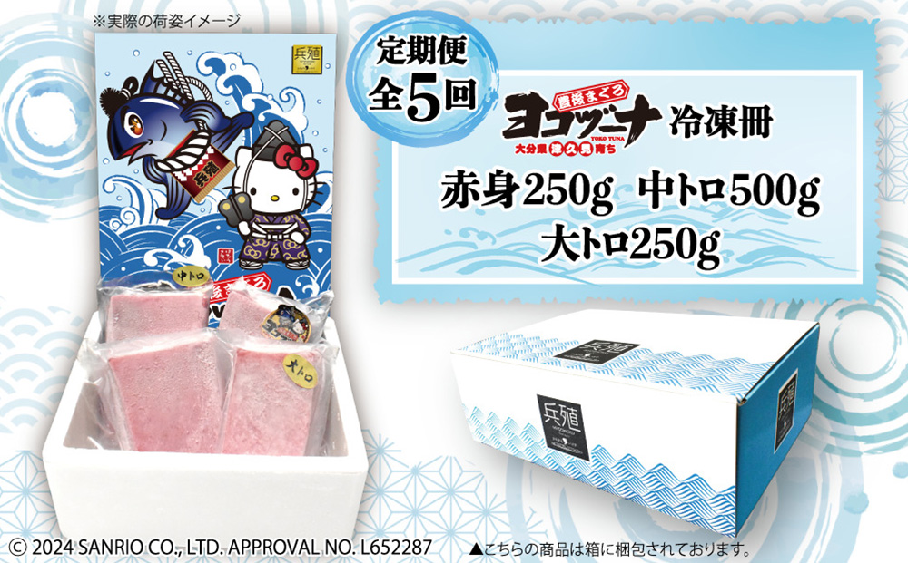 【定期便5回】豊後まぐろヨコヅーナ贅沢セット全5回 赤身250g 中トロ500g 大トロ250g入りの豪華セット マグロ まぐろ 鮪 刺身 刺し身 大分県産 九州産 津久見市 熨斗対応【tsu0003029】