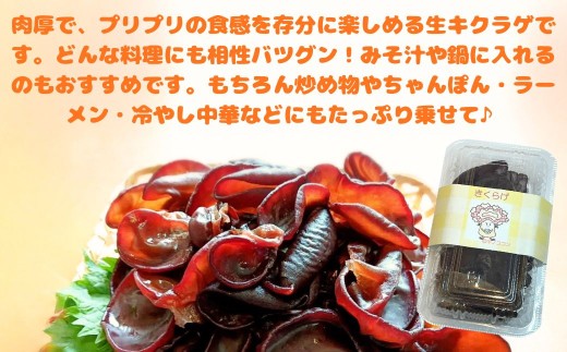 接ä¹
èŠç£ã®èåçãããã 70gÃ5ãã㯠(350g) | ãã¯ã©ã² æšè³ ä¹å· 倧åç ãtsu005421ã